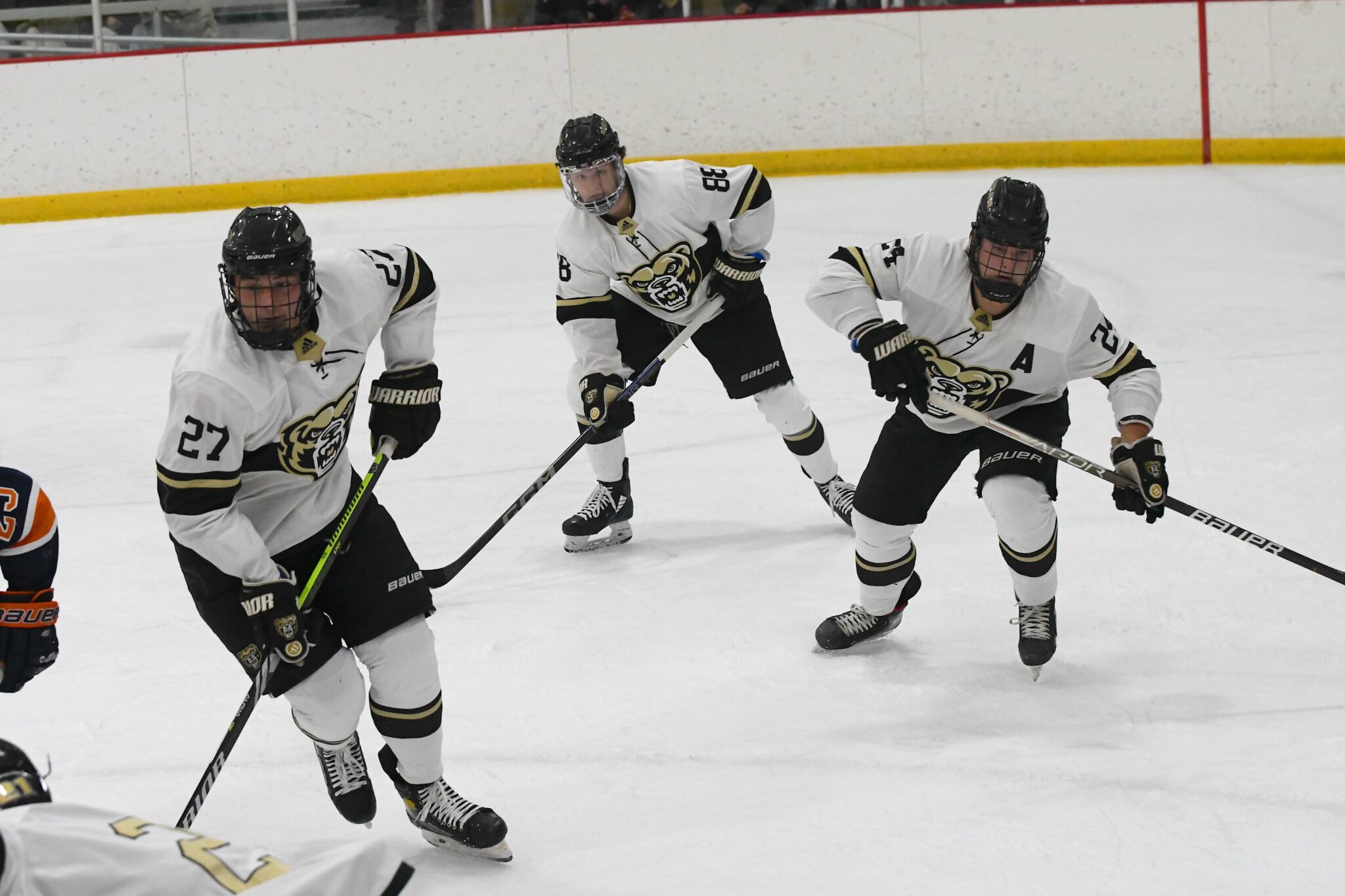 Oakland University Golden Grizzlies DIII Hockey